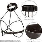CALEXOTICS - EUPHORIA PLUS SIZE MULTI CHAIN ​​COLLAR HARNESS
