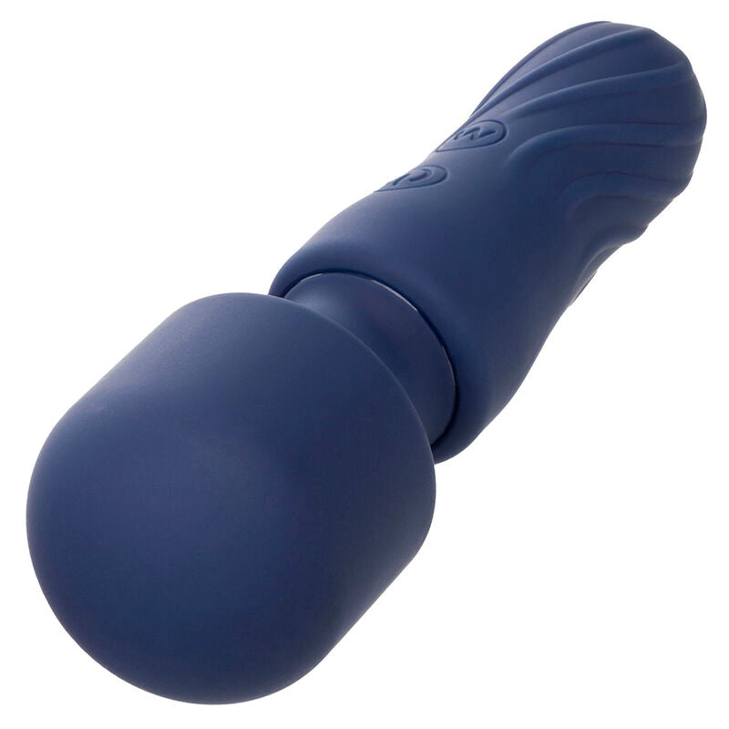 CALEXOTICS - CHARISMA CHARM MASSAGE 12 FUNCTIONS PURPLE