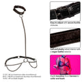 CALEXOTICS - EUPHORIA CHAIN ​​HALTER COLLAR &amp; LEASH