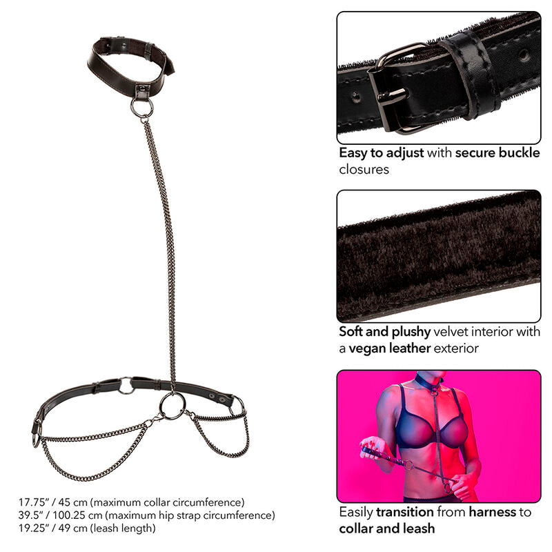 CALEXOTICS - EUPHORIA CHAIN ​​HALTER COLLAR &amp; LEASH