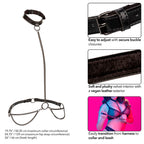 CALEXOTICS - EUPHORIA CHAIN ​​HALTER COLLAR &amp; LEASH PLUS SIZE