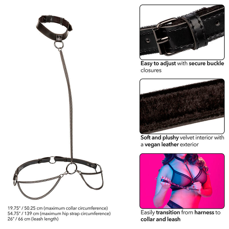 CALEXOTICS - EUPHORIA CHAIN ​​HALTER COLLAR &amp; LEASH PLUS SIZE