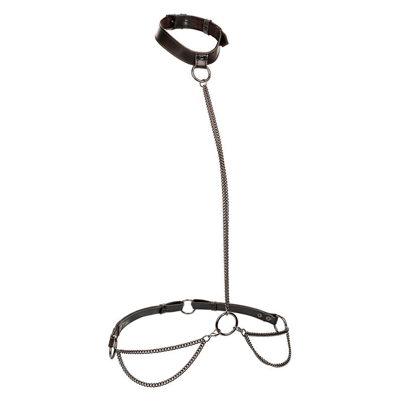 CALEXOTICS - EUPHORIA CHAIN ​​HALTER COLLAR &amp; LEASH PLUS SIZE
