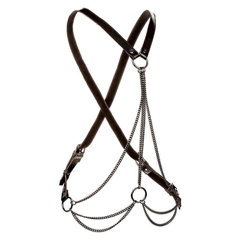 CALEXOTICS - EUPHORIA MULTICHAIN ​​HARNESS PREMIUM