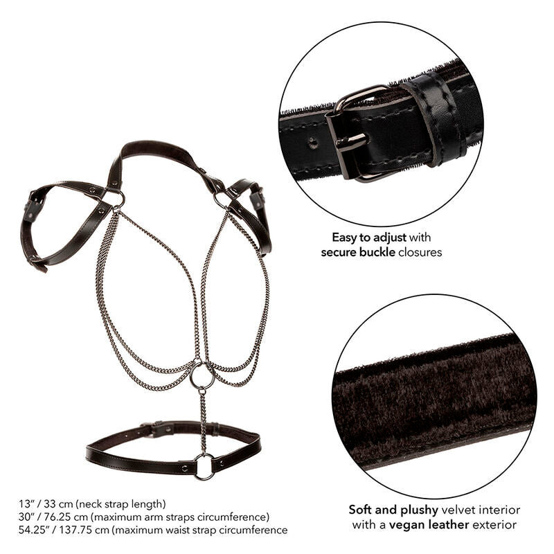 CALEXOTICS - EUPHORIA MULTICHAIN ​​HALTER HARNESS PREMIUM PLUS SIZE
