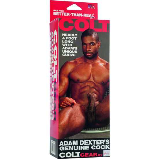 CALEXOTICS - COLT ADAM DEXTER'S COCK